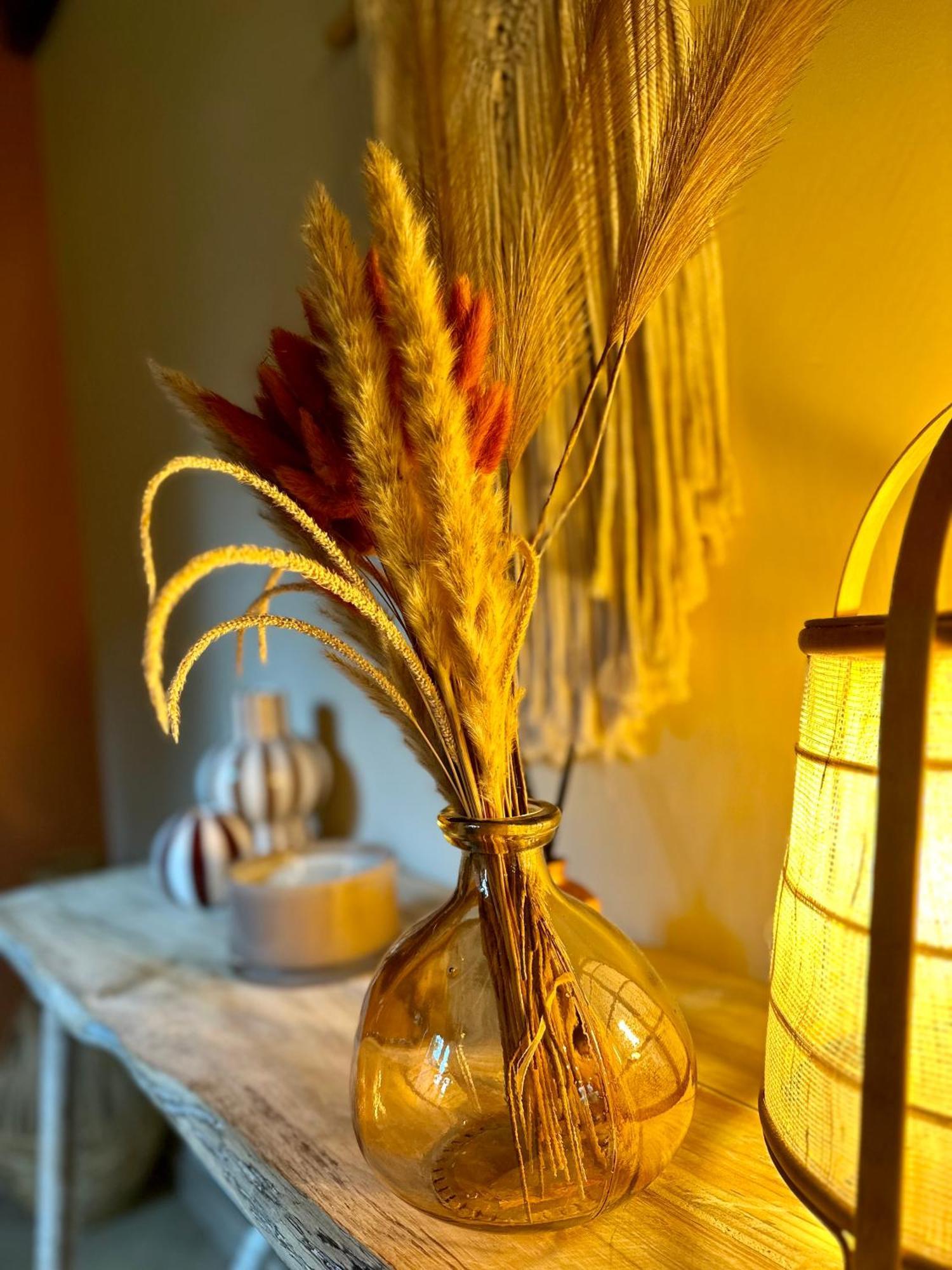 Ferme Marie Helene Bed & Breakfast Ittlenheim Dış mekan fotoğraf